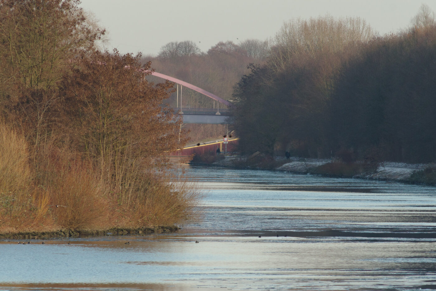 2026-01-11 - Rhein-Herne-Kanal - Kanalufer am Stadthafen