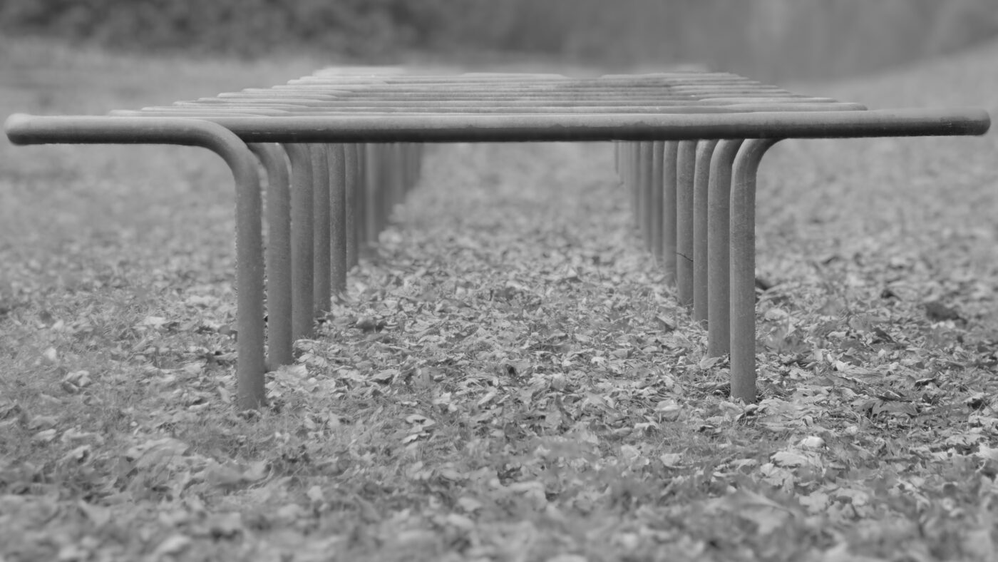 2025-01-25 - NSG Mollbecktal Recklinghausen