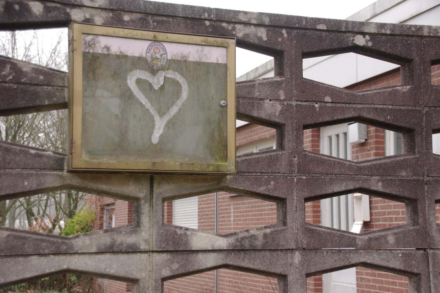 2025-01-25 - NSG Mollbecktal Recklinghausen