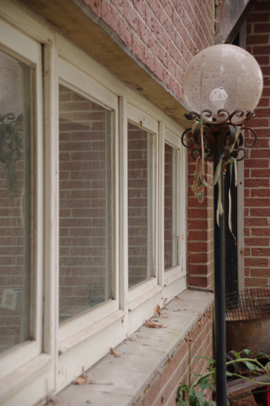 2025-01-25 - NSG Mollbecktal Recklinghausen