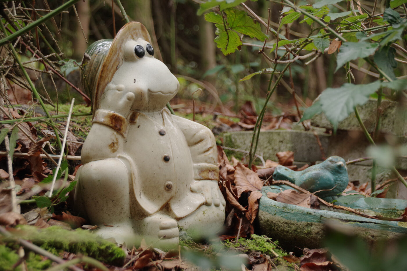 2025-01-25 - NSG Mollbecktal Recklinghausen