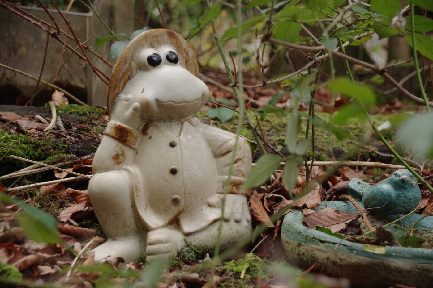 2025-01-25 - NSG Mollbecktal Recklinghausen