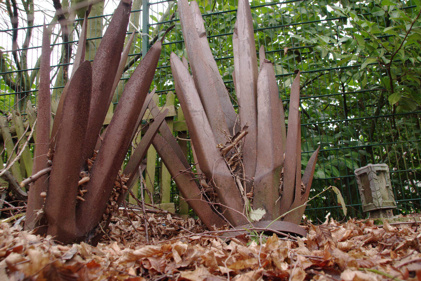 2025-01-25 - NSG Mollbecktal Recklinghausen