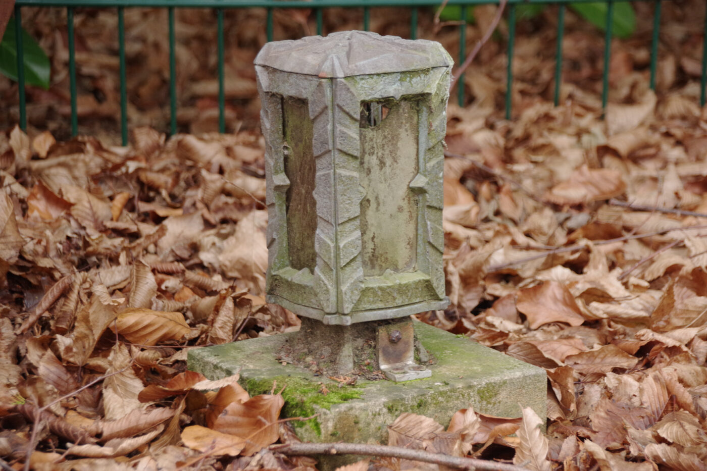 2025-01-25 - NSG Mollbecktal Recklinghausen