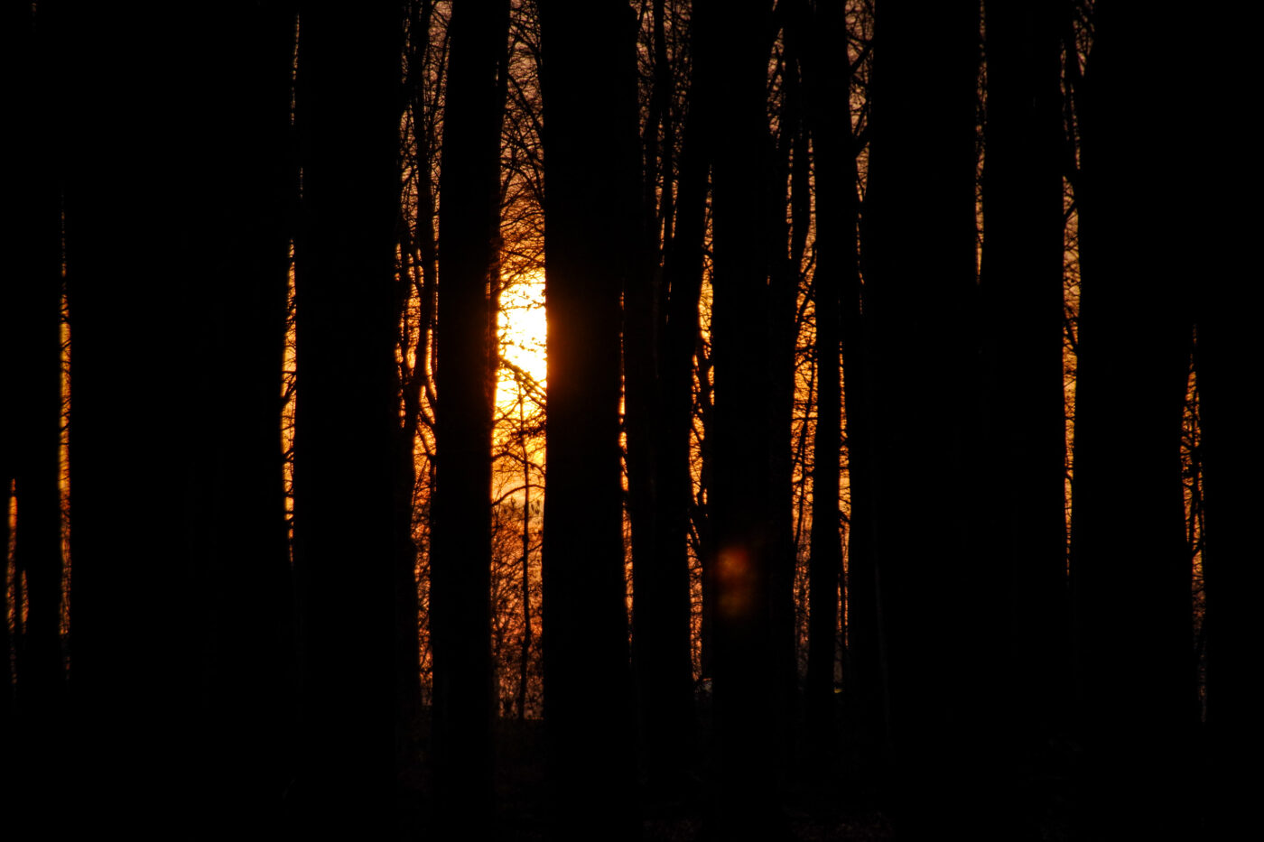 2025-01-25 - NSG Mollbecktal Recklinghausen