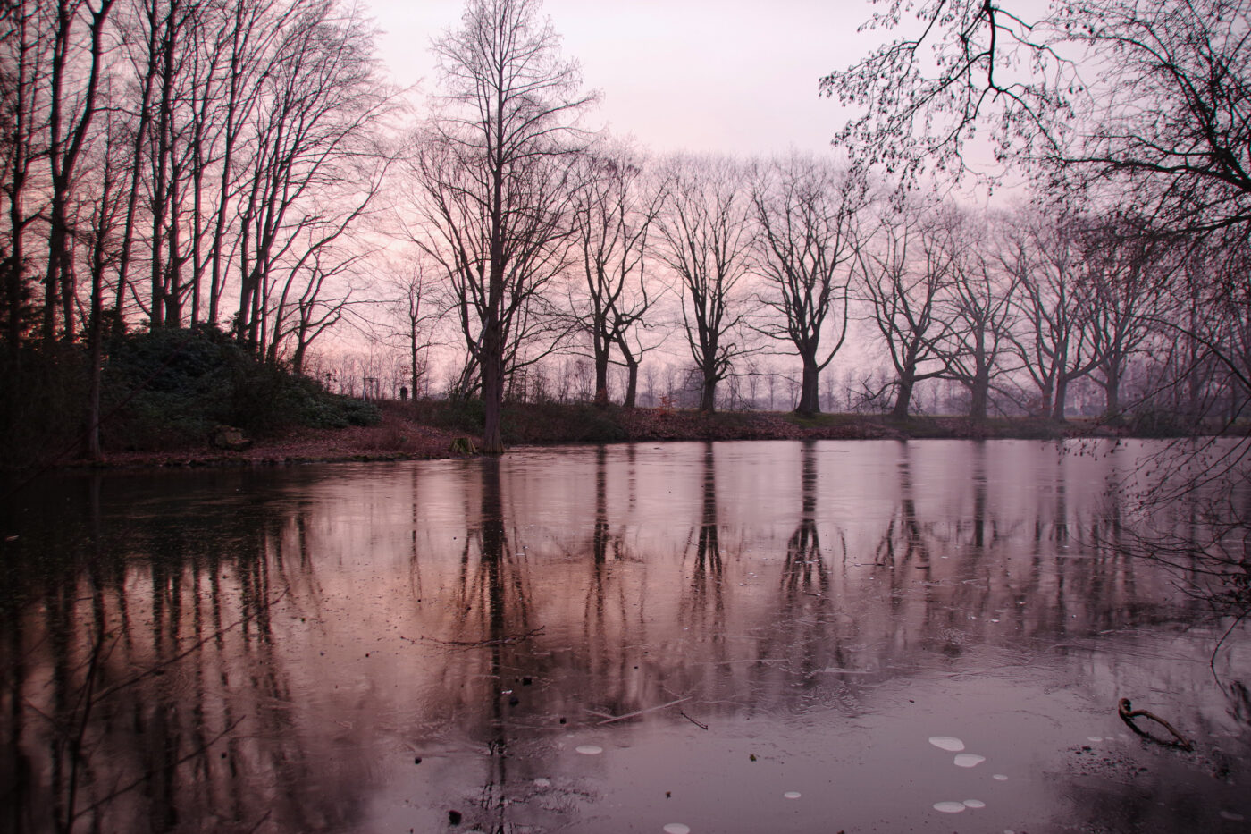 2025-01-25 - NSG Mollbecktal Recklinghausen