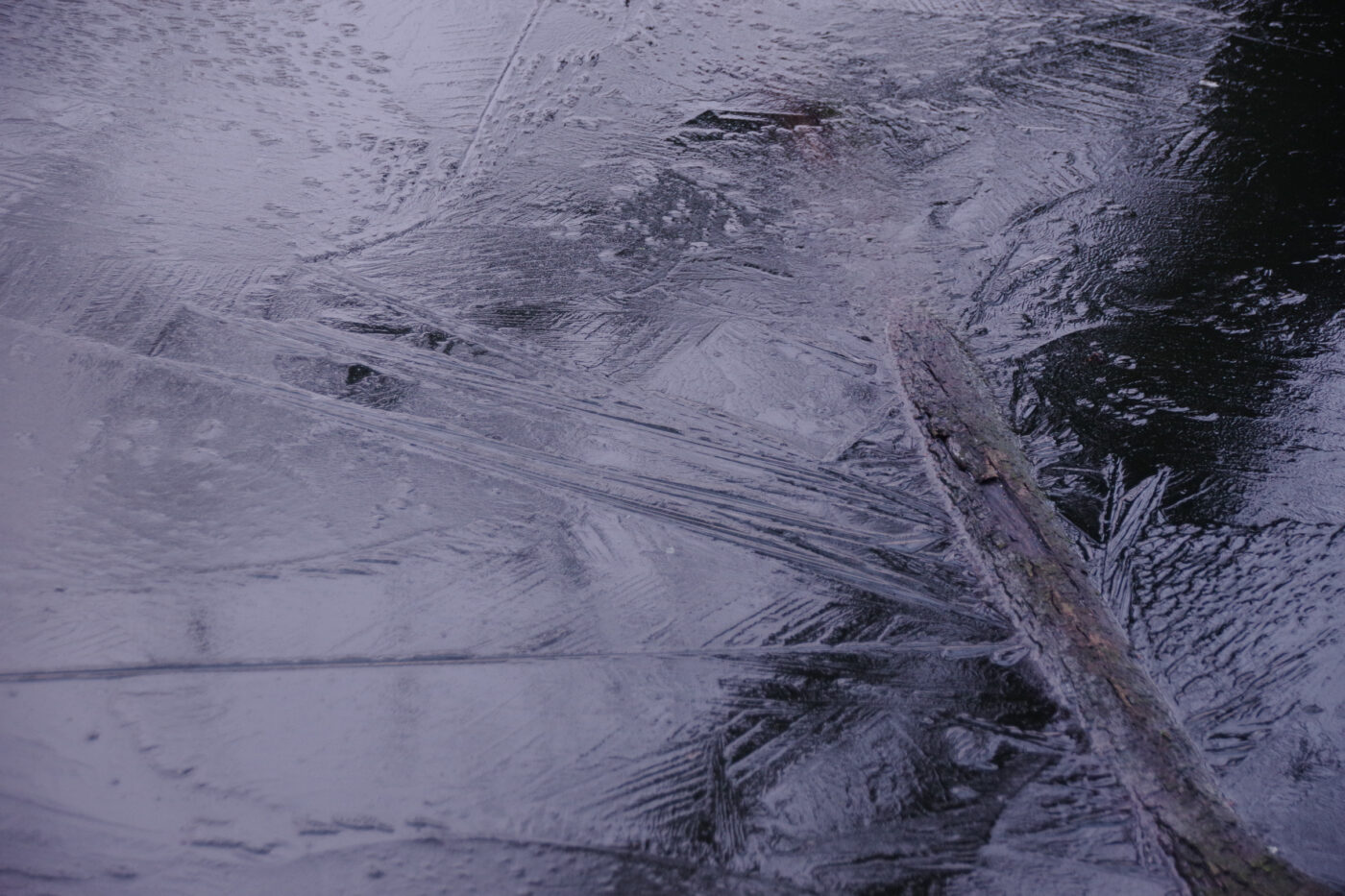 2025-01-25 - NSG Mollbecktal Recklinghausen