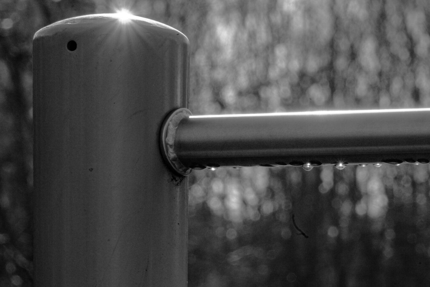 2026-02-04 - REh - Hinsberg