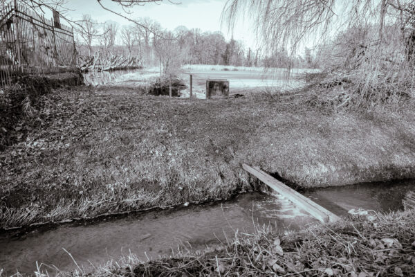2026-02-08 - Wasserschloß Gemen