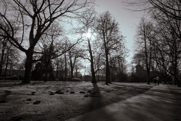 2026-02-08 - Wasserschloß Gemen