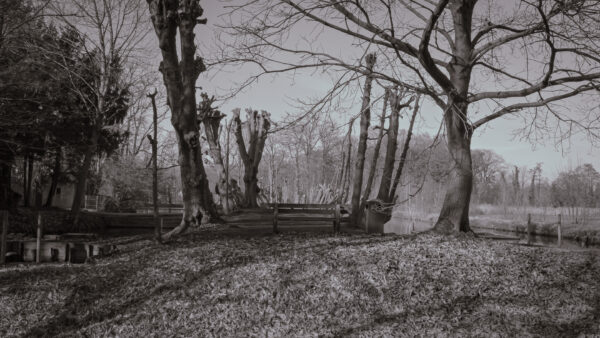 2026-02-08 - Wasserschloß Gemen