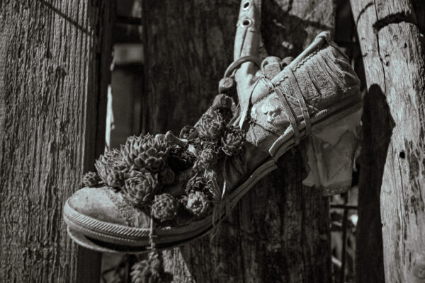 2026-02-08 - Wasserschloß Gemen