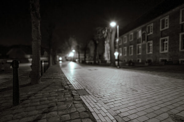 2026-02-08 - Wasserschloß Gemen