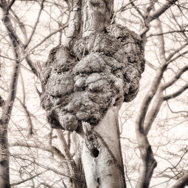 2026-03-06 - Haltern Hullern