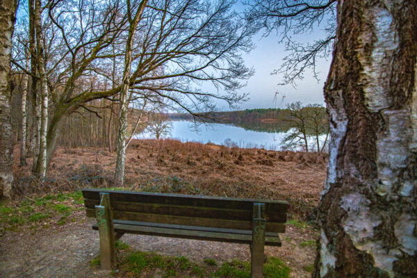 2026-03-06 - Haltern Hullern