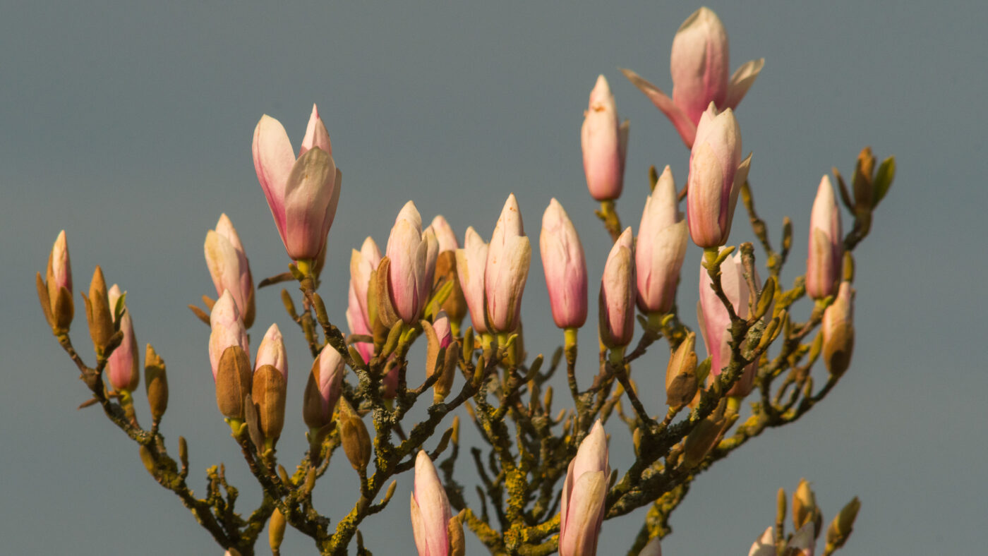 2026-03-19 - Haltern Rundreise