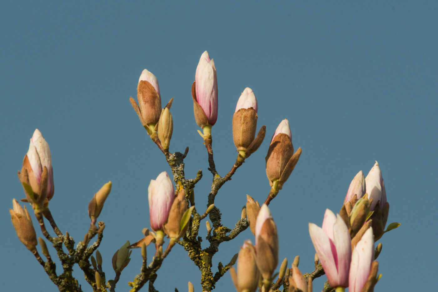 2026-03-19 - Haltern Rundreise