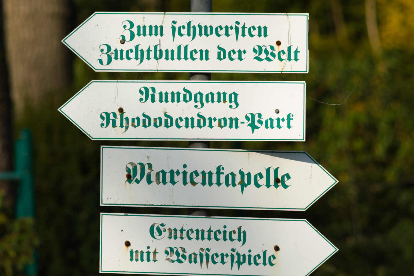 2026-03-19 - Haltern Rundreise