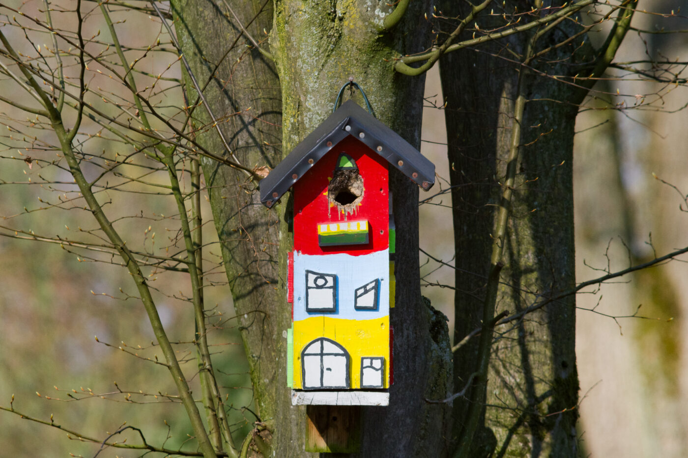 2026-03-19 - Haltern Rundreise