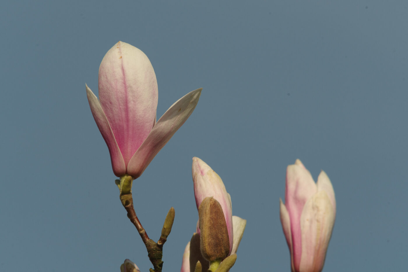 2026-03-19 - Haltern Rundreise