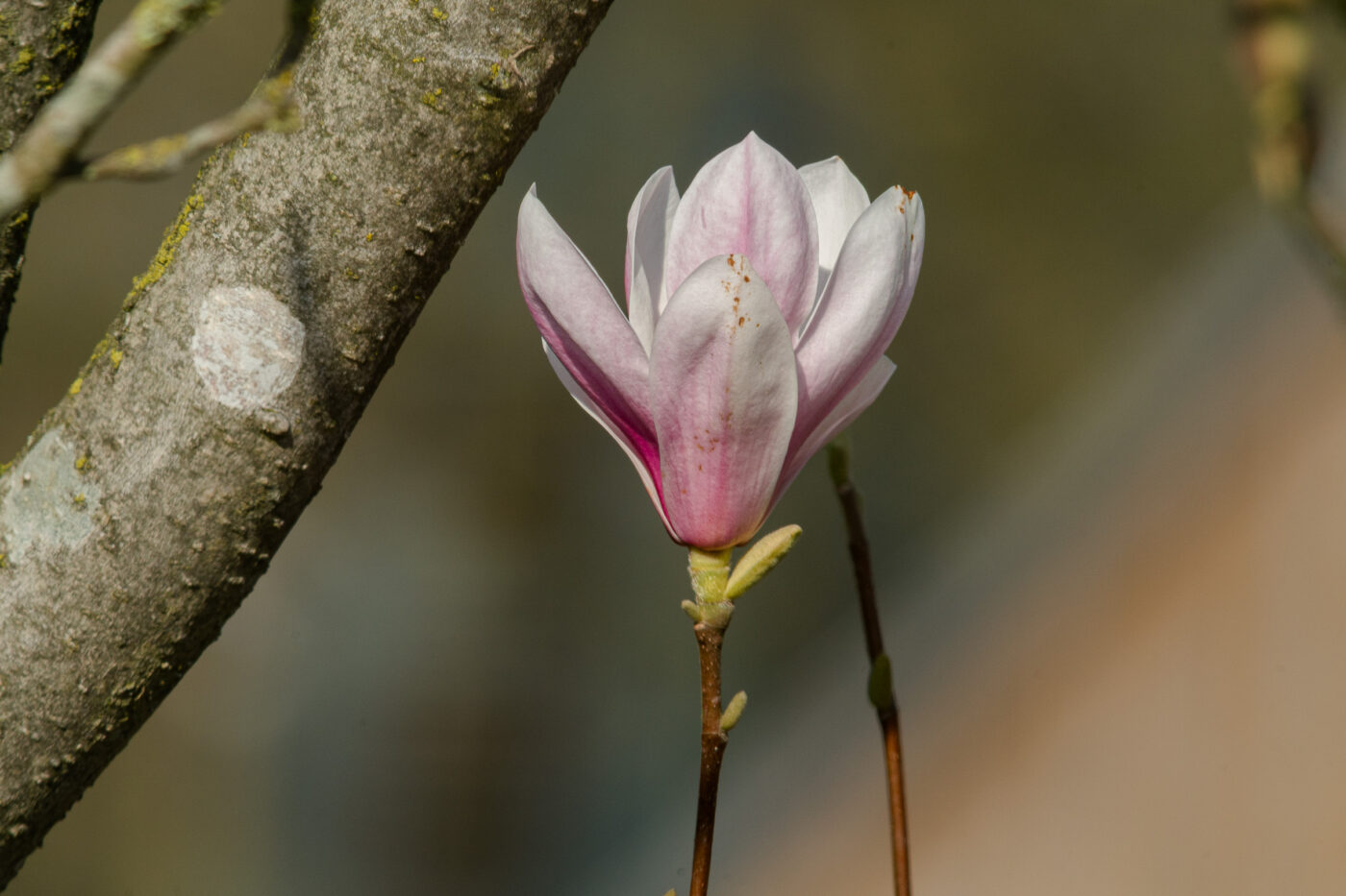 2026-03-19 - Haltern Rundreise