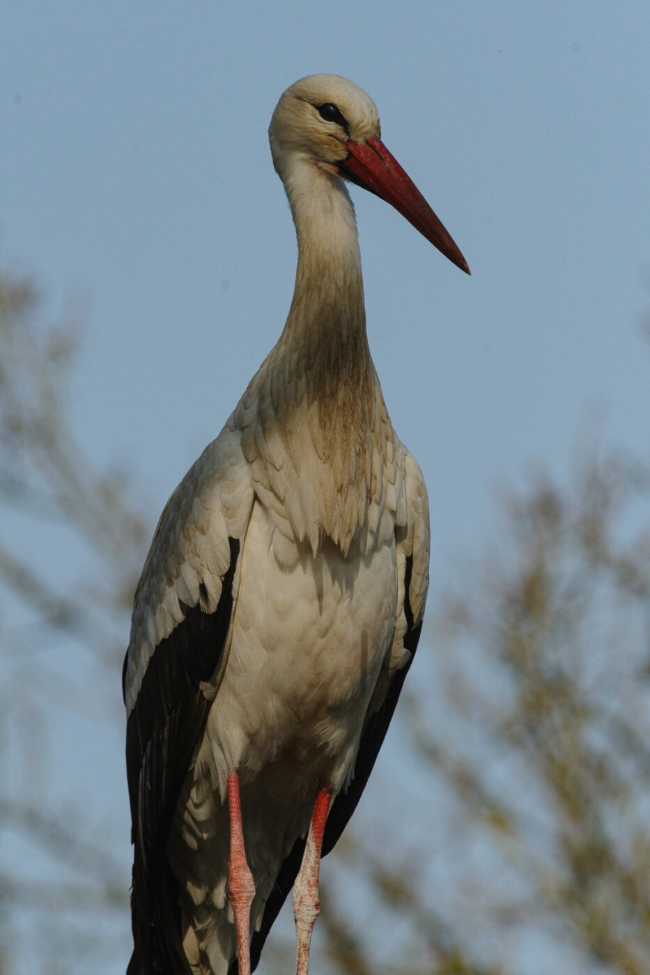 2026-03-19 - Haltern Rundreise
