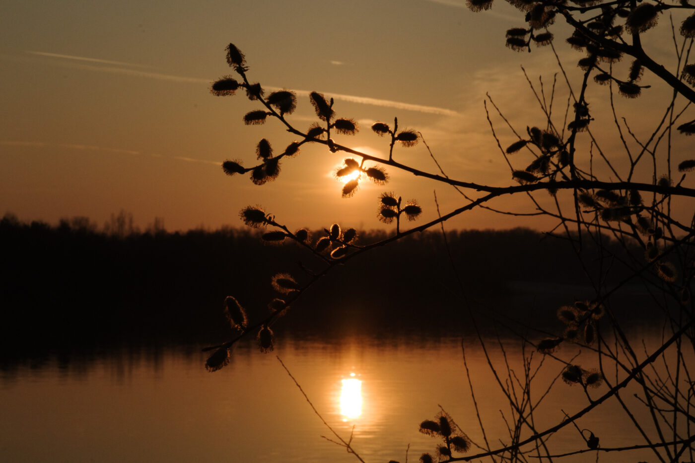 2026-03-19 - Haltern Rundreise