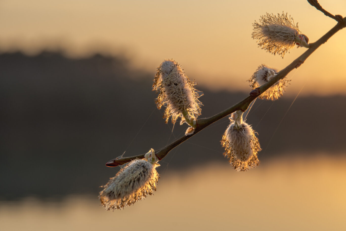 2026-03-19 - Haltern Rundreise