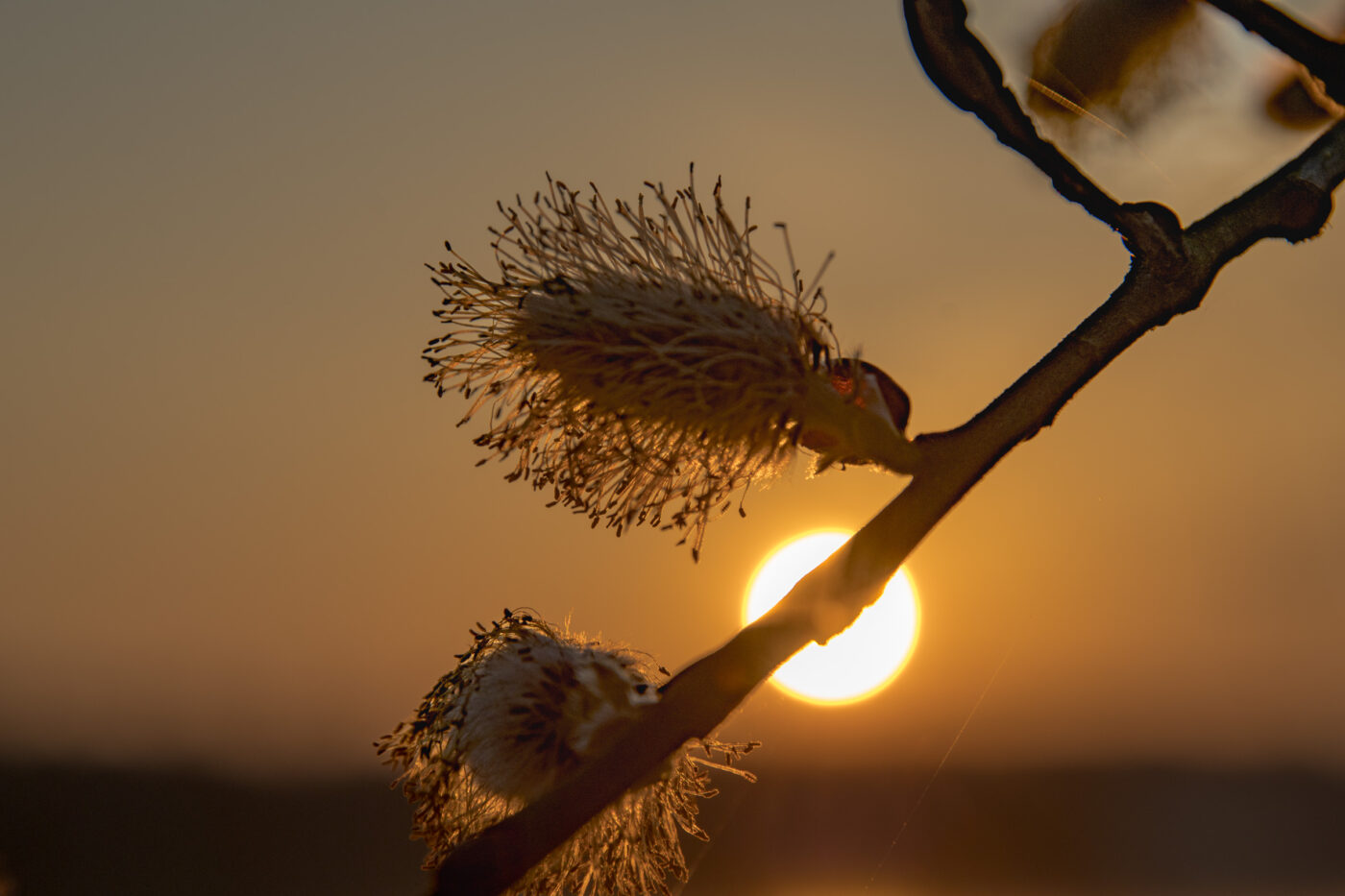 2026-03-19 - Haltern Rundreise