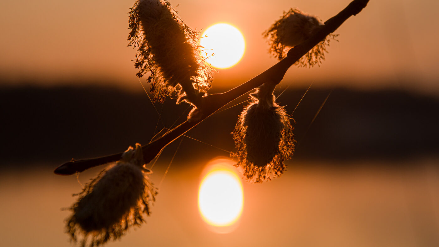 2026-03-19 - Haltern Rundreise