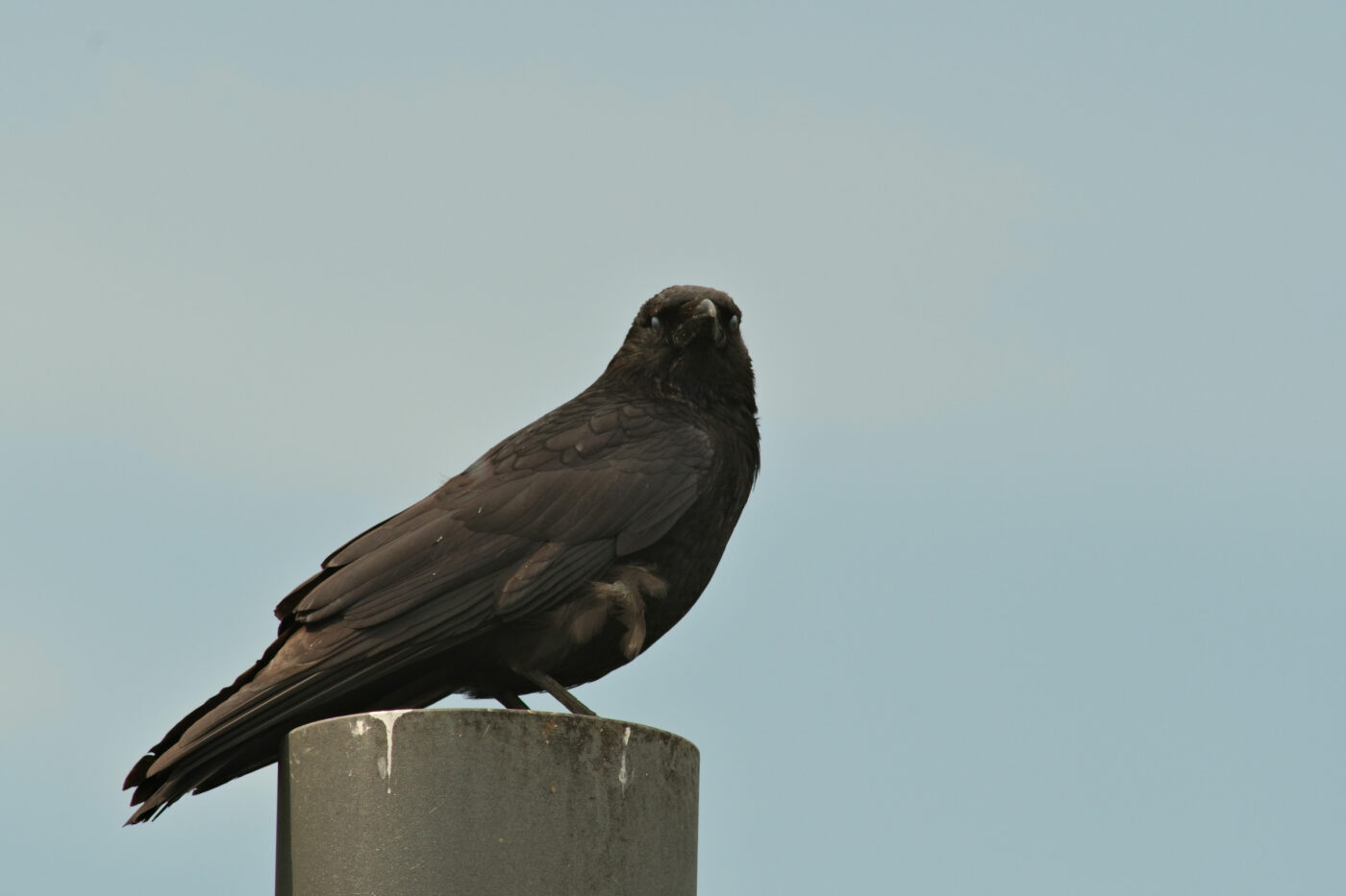 2026-04-26 - Selm - Auenpartk