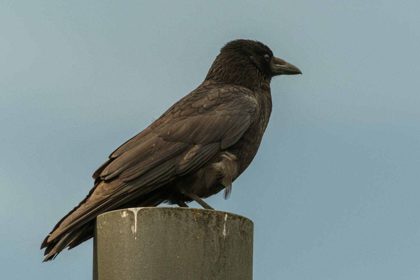 2026-04-26 - Selm - Auenpartk