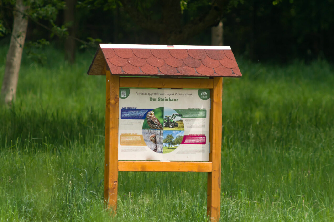 2026-05-10 - REh - Hinsberg