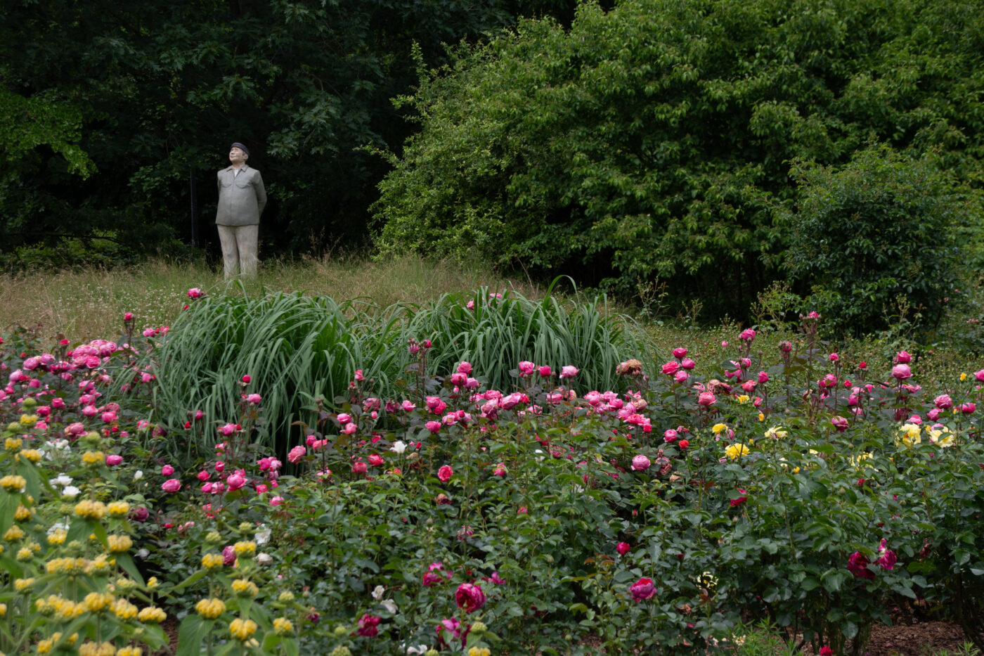 2026-06-06 - Hamm - Maximilianpark - Mittelalter-Spektakulum