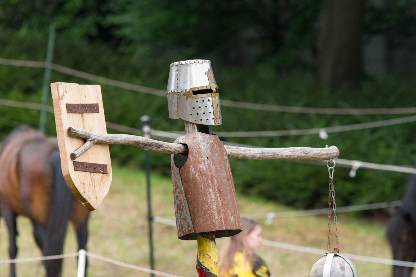 2026-06-06 - Hamm - Maximilianpark - Mittelalter-Spektakulum