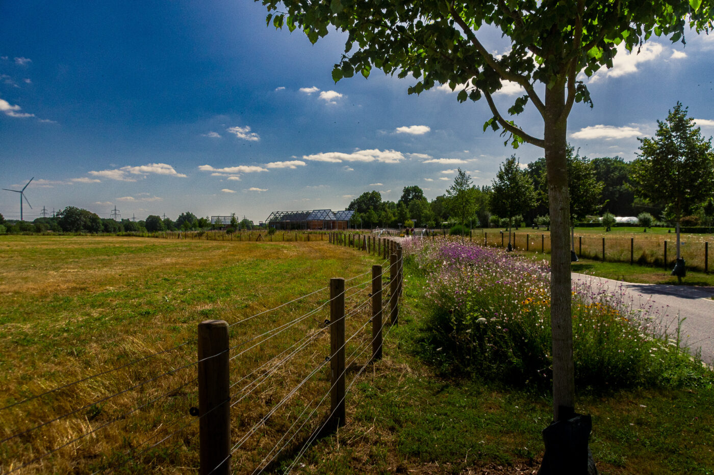 2026-07-09 - NSG Emscherpark Castrop-Rauxel