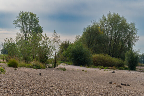 2026-09-29 - Wesel (Expedition zum Rhein mit Zwischenstops)