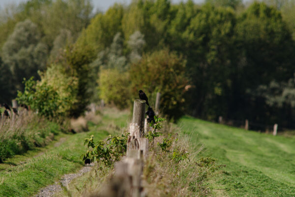2026-09-29 - Wesel (Expedition zum Rhein mit Zwischenstops)