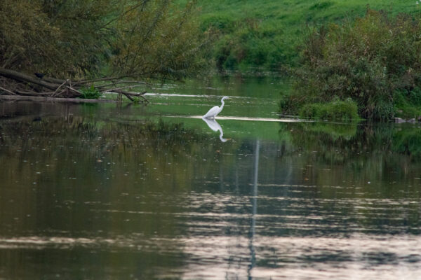 2026-09-29 - Wesel (Expedition zum Rhein mit Zwischenstops)
