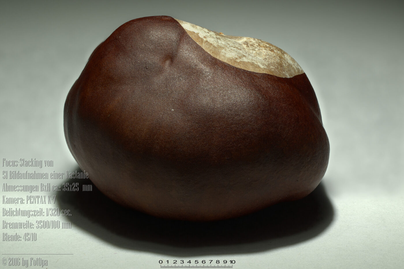 2016-04-29 - Makroaufnahme einer Kastanie